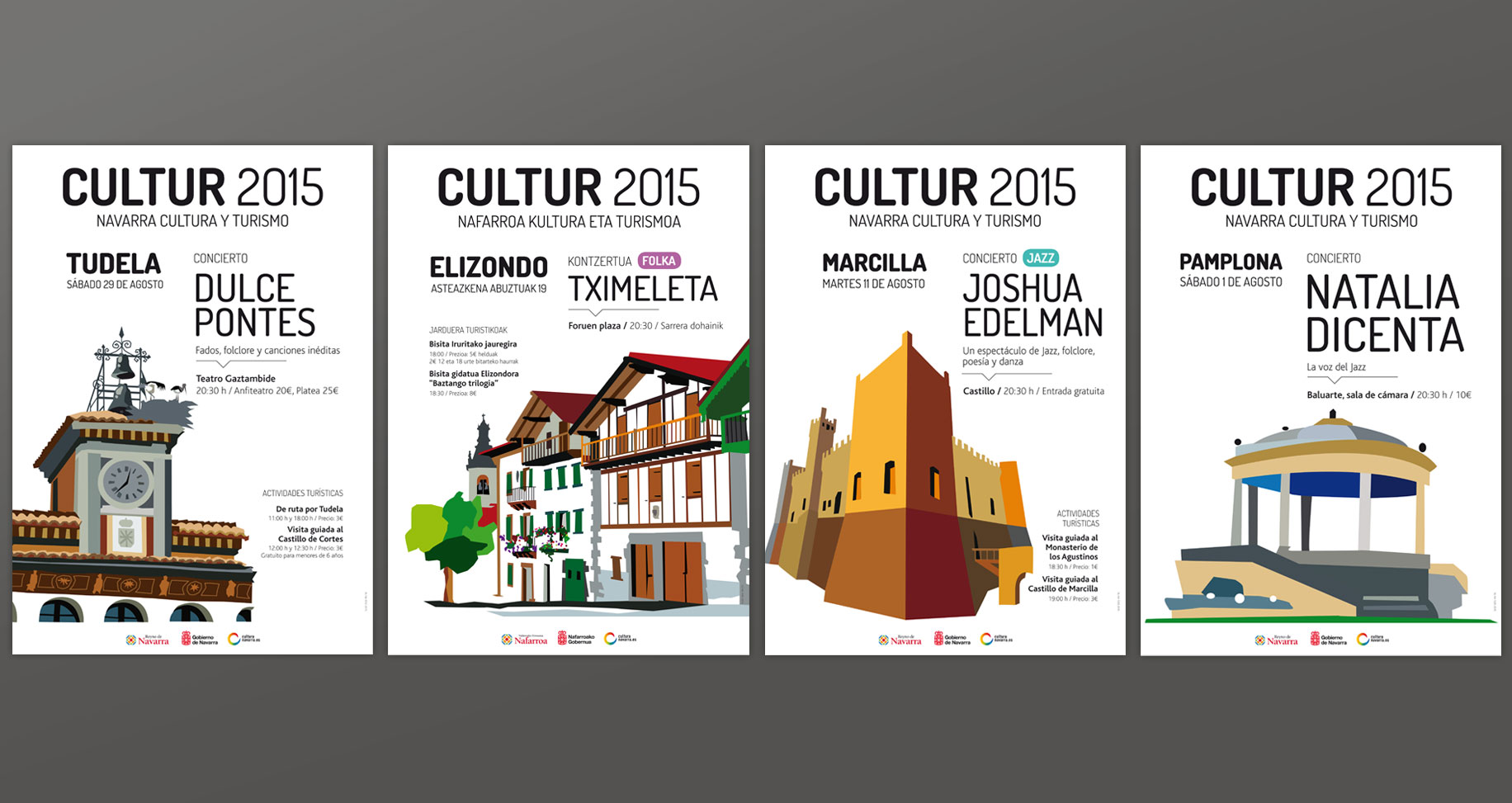 Cultur 2015 Navarra